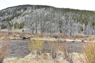 Filename=DSC_4944.JPG
Filesize=26989KiB
Dimensions=7360x4912
Date added=Sep 19, 2019 DSC_4944.JPG