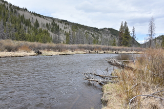 Filename=DSC_4945.JPG
Filesize=24771KiB
Dimensions=7360x4912
Date added=Sep 19, 2019 DSC_4945.JPG