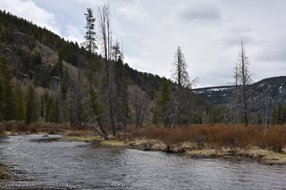 Filename=DSC_4947.JPG
Filesize=22119KiB
Dimensions=7360x4912
Date added=Sep 19, 2019 DSC_4947.JPG