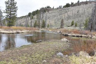 Filename=DSC_4953.JPG
Filesize=26124KiB
Dimensions=7360x4912
Date added=Sep 19, 2019 DSC_4953.JPG