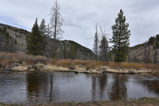 Filename=DSC_4954.JPG
Filesize=21923KiB
Dimensions=7360x4912
Date added=Sep 19, 2019 DSC_4954.JPG