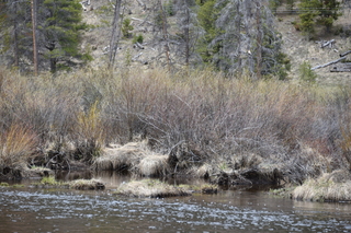 Filename=DSC_4955.JPG
Filesize=25093KiB
Dimensions=7360x4912
Date added=Sep 19, 2019 DSC_4955.JPG