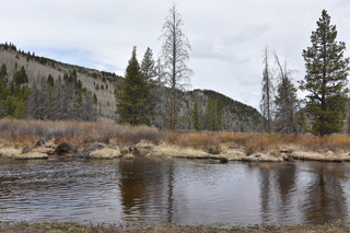 Filename=DSC_4956.JPG
Filesize=23030KiB
Dimensions=7360x4912
Date added=Sep 19, 2019 DSC_4956.JPG