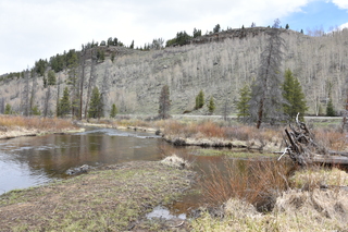 Filename=DSC_4957.JPG
Filesize=24699KiB
Dimensions=7360x4912
Date added=Sep 19, 2019 DSC_4957.JPG