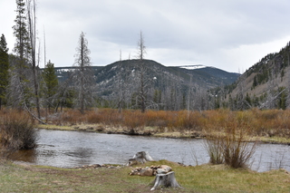 Filename=DSC_4961.JPG
Filesize=21703KiB
Dimensions=7360x4912
Date added=Sep 19, 2019 DSC_4961.JPG