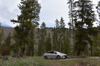 Filename=DSC_4962.JPG
Filesize=23515KiB
Dimensions=7360x4912
Date added=Sep 19, 2019 DSC_4962.JPG