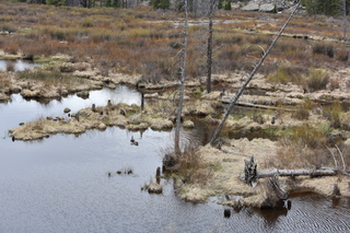 Filename=DSC_4966.JPG
Filesize=26026KiB
Dimensions=7360x4912
Date added=Sep 19, 2019 DSC_4966.JPG