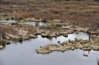 Filename=DSC_4969.JPG
Filesize=24686KiB
Dimensions=7360x4912
Date added=Sep 19, 2019 DSC_4969.JPG