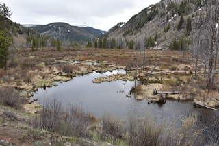 Filename=DSC_4971.JPG
Filesize=24968KiB
Dimensions=7360x4912
Date added=Sep 19, 2019 DSC_4971.JPG