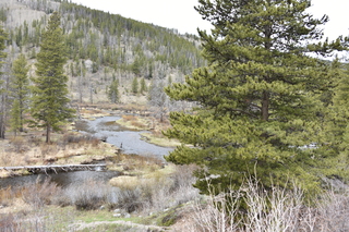 Filename=DSC_4973.JPG
Filesize=26615KiB
Dimensions=7360x4912
Date added=Sep 19, 2019 DSC_4973.JPG