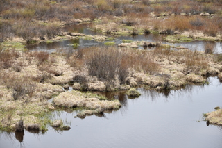 Filename=DSC_4977.JPG
Filesize=24633KiB
Dimensions=7360x4912
Date added=Sep 19, 2019 DSC_4977.JPG