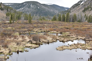 Filename=DSC_4978.JPG
Filesize=23241KiB
Dimensions=7360x4912
Date added=Sep 19, 2019 DSC_4978.JPG