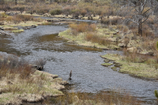 Filename=DSC_4980.JPG
Filesize=27222KiB
Dimensions=7360x4912
Date added=Sep 19, 2019 DSC_4980.JPG