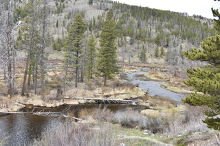 Filename=DSC_4981.JPG
Filesize=27731KiB
Dimensions=7360x4912
Date added=Sep 19, 2019 DSC_4981.JPG