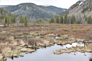 Filename=DSC_4982.JPG
Filesize=23572KiB
Dimensions=7360x4912
Date added=Sep 19, 2019 DSC_4982.JPG