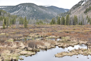 Filename=DSC_4983.JPG
Filesize=23708KiB
Dimensions=7360x4912
Date added=Sep 19, 2019 DSC_4983.JPG