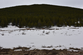 Filename=DSC_4992.JPG
Filesize=17819KiB
Dimensions=7360x4912
Date added=Sep 19, 2019 DSC_4992.JPG