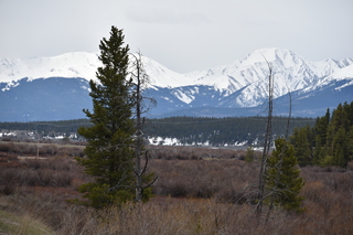 Filename=DSC_4994.JPG
Filesize=17773KiB
Dimensions=7360x4912
Date added=Sep 19, 2019 DSC_4994.JPG