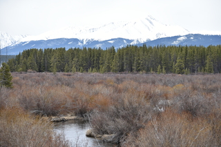 Filename=DSC_4996.JPG
Filesize=21676KiB
Dimensions=7360x4912
Date added=Sep 19, 2019 DSC_4996.JPG