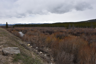 Filename=DSC_5004.JPG
Filesize=21370KiB
Dimensions=7360x4912
Date added=Sep 19, 2019 DSC_5004.JPG