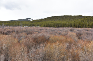 Filename=DSC_5005.JPG
Filesize=23541KiB
Dimensions=7360x4912
Date added=Sep 19, 2019 DSC_5005.JPG