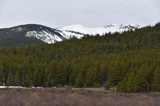 Filename=DSC_5006.JPG
Filesize=20453KiB
Dimensions=7360x4912
Date added=Sep 19, 2019 DSC_5006.JPG