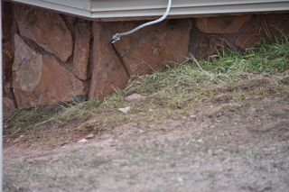 Filename=DSC_5007.JPG
Filesize=17419KiB
Dimensions=7360x4912
Date added=Sep 19, 2019 DSC_5007.JPG