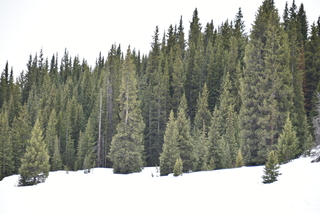 Filename=DSC_5015.JPG
Filesize=18195KiB
Dimensions=7360x4912
Date added=Sep 19, 2019 DSC_5015.JPG