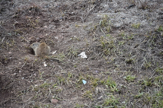 Filename=DSC_5018.JPG
Filesize=23026KiB
Dimensions=7360x4912
Date added=Sep 19, 2019 DSC_5018.JPG