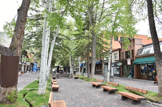 Filename=DSC_5029.JPG
Filesize=24542KiB
Dimensions=7360x4912
Date added=Sep 19, 2019 DSC_5029.JPG