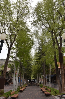 Filename=DSC_5033.JPG
Filesize=22129KiB
Dimensions=4912x7360
Date added=Sep 19, 2019 DSC_5033.JPG