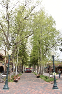 Filename=DSC_5045.JPG
Filesize=21960KiB
Dimensions=4912x7360
Date added=Sep 19, 2019 DSC_5045.JPG