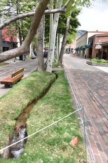 Filename=DSC_5060.JPG
Filesize=19536KiB
Dimensions=4912x7360
Date added=Sep 19, 2019 DSC_5060.JPG