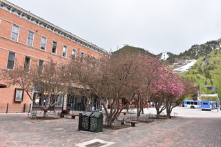 Filename=DSC_5063.JPG
Filesize=22099KiB
Dimensions=7360x4912
Date added=Sep 19, 2019 DSC_5063.JPG