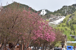 Filename=DSC_5064.JPG
Filesize=22515KiB
Dimensions=7360x4912
Date added=Sep 19, 2019 DSC_5064.JPG