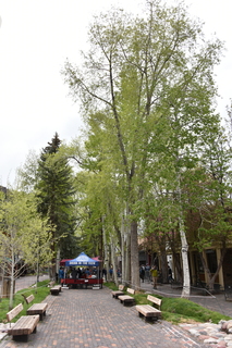 Filename=DSC_5065.JPG
Filesize=21711KiB
Dimensions=4912x7360
Date added=Sep 19, 2019 DSC_5065.JPG