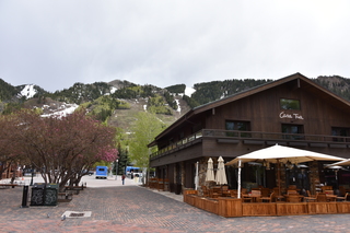 Filename=DSC_5066.JPG
Filesize=18123KiB
Dimensions=7360x4912
Date added=Sep 19, 2019 DSC_5066.JPG