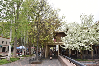 Filename=DSC_5075.JPG
Filesize=23247KiB
Dimensions=7360x4912
Date added=Sep 19, 2019 DSC_5075.JPG