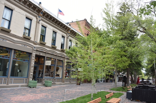 Filename=DSC_5080.JPG
Filesize=22562KiB
Dimensions=7360x4912
Date added=Sep 19, 2019 DSC_5080.JPG