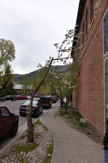 Filename=DSC_5094.JPG
Filesize=17202KiB
Dimensions=4912x7360
Date added=Sep 19, 2019 DSC_5094.JPG