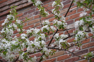 Filename=DSC_5097.JPG
Filesize=18101KiB
Dimensions=7360x4912
Date added=Sep 19, 2019 DSC_5097.JPG