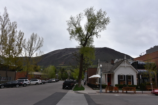 Filename=DSC_5099.JPG
Filesize=19336KiB
Dimensions=7360x4912
Date added=Sep 19, 2019 DSC_5099.JPG