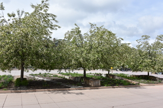 Filename=DSC_5105.JPG
Filesize=23948KiB
Dimensions=7360x4912
Date added=Sep 19, 2019 DSC_5105.JPG