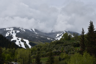 Filename=DSC_5118.JPG
Filesize=19513KiB
Dimensions=7360x4912
Date added=Sep 19, 2019 DSC_5118.JPG