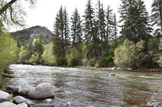 Filename=DSC_5120.JPG
Filesize=25762KiB
Dimensions=7360x4912
Date added=Sep 19, 2019 DSC_5120.JPG