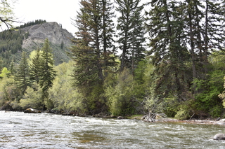 Filename=DSC_5121.JPG
Filesize=26862KiB
Dimensions=7360x4912
Date added=Sep 19, 2019 DSC_5121.JPG