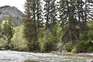 Filename=DSC_5122.JPG
Filesize=25527KiB
Dimensions=7360x4912
Date added=Sep 19, 2019 DSC_5122.JPG