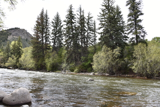 Filename=DSC_5123.JPG
Filesize=25535KiB
Dimensions=7360x4912
Date added=Sep 19, 2019 DSC_5123.JPG