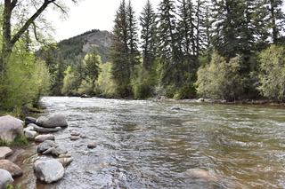 Filename=DSC_5124.JPG
Filesize=27636KiB
Dimensions=7360x4912
Date added=Sep 19, 2019 DSC_5124.JPG