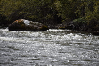 Filename=DSC_5125.JPG
Filesize=20127KiB
Dimensions=7360x4912
Date added=Sep 19, 2019 DSC_5125.JPG